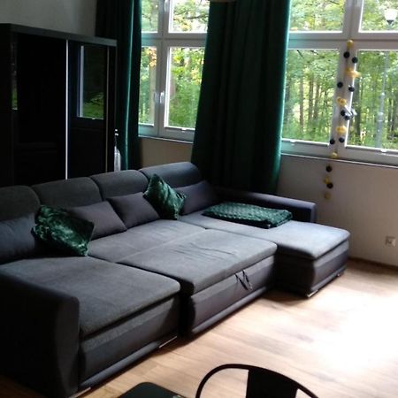 Apartament 5 Przy Parku Lesnym 폴라니카-즈루이 외부 사진