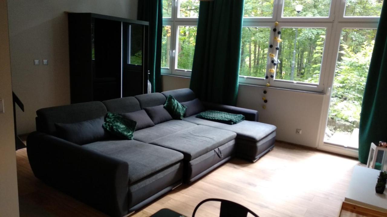 Apartament 5 Przy Parku Lesnym 폴라니카-즈루이 외부 사진