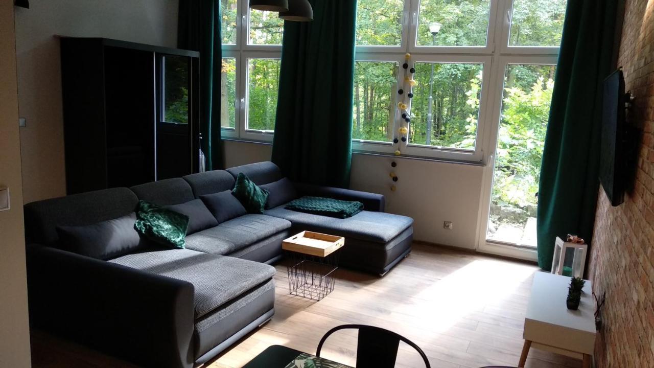 Apartament 5 Przy Parku Lesnym 폴라니카-즈루이 외부 사진