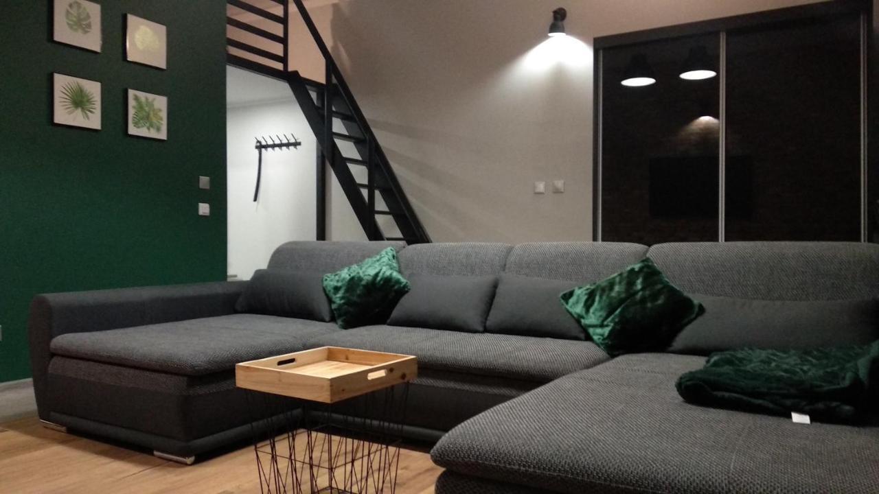 Apartament 5 Przy Parku Lesnym 폴라니카-즈루이 외부 사진