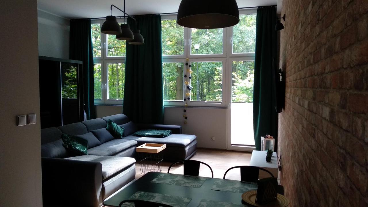 Apartament 5 Przy Parku Lesnym 폴라니카-즈루이 외부 사진