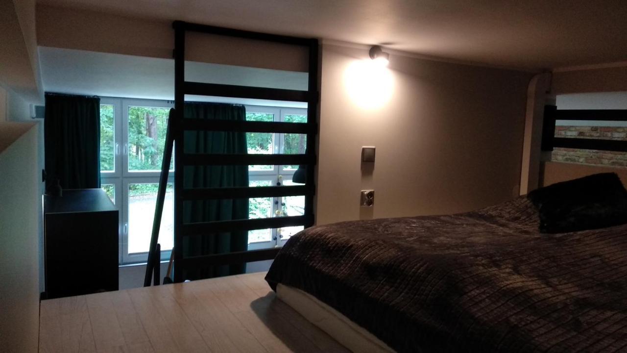 Apartament 5 Przy Parku Lesnym 폴라니카-즈루이 외부 사진
